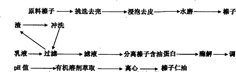 Extraction technology of hazelnut oil