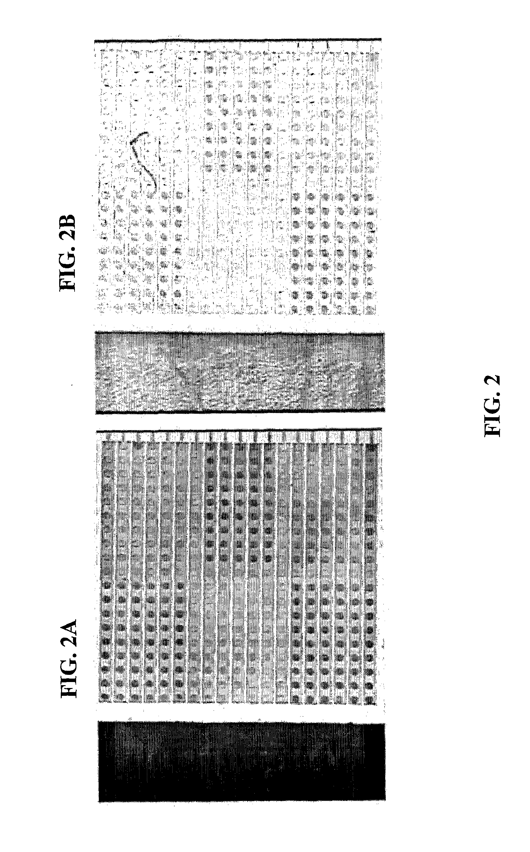 Method for detection of analyte in microarray of samples and apparatus for performing such method