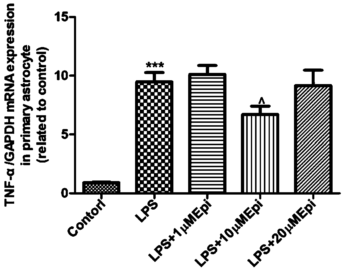 Application of Epimedin B to preparation of medicines for treating neuroinflammation