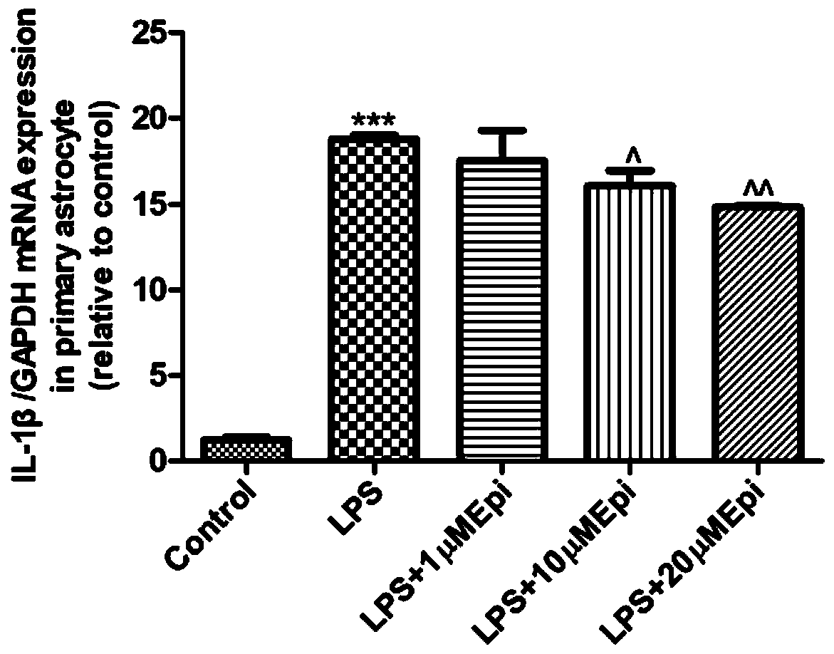 Application of Epimedin B to preparation of medicines for treating neuroinflammation