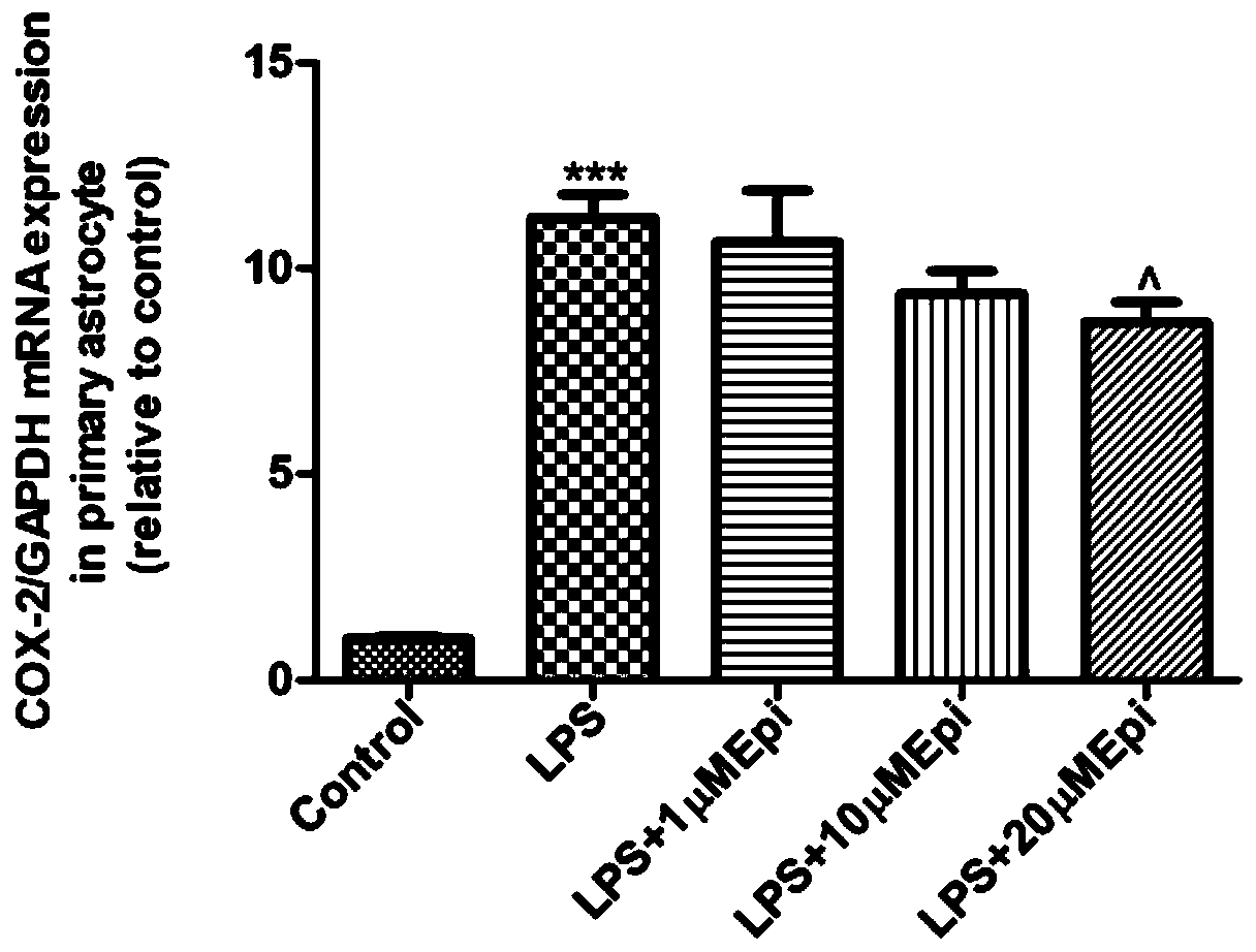 Application of Epimedin B to preparation of medicines for treating neuroinflammation