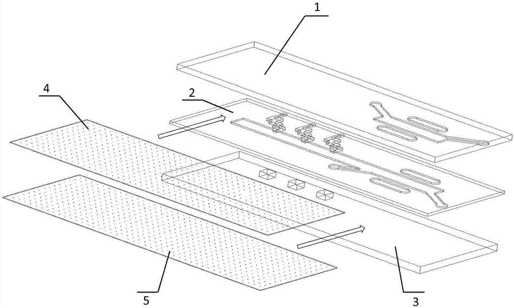 A biomimetic microfluidic chip for simulating tumor cells and their metastatic microenvironment in vivo