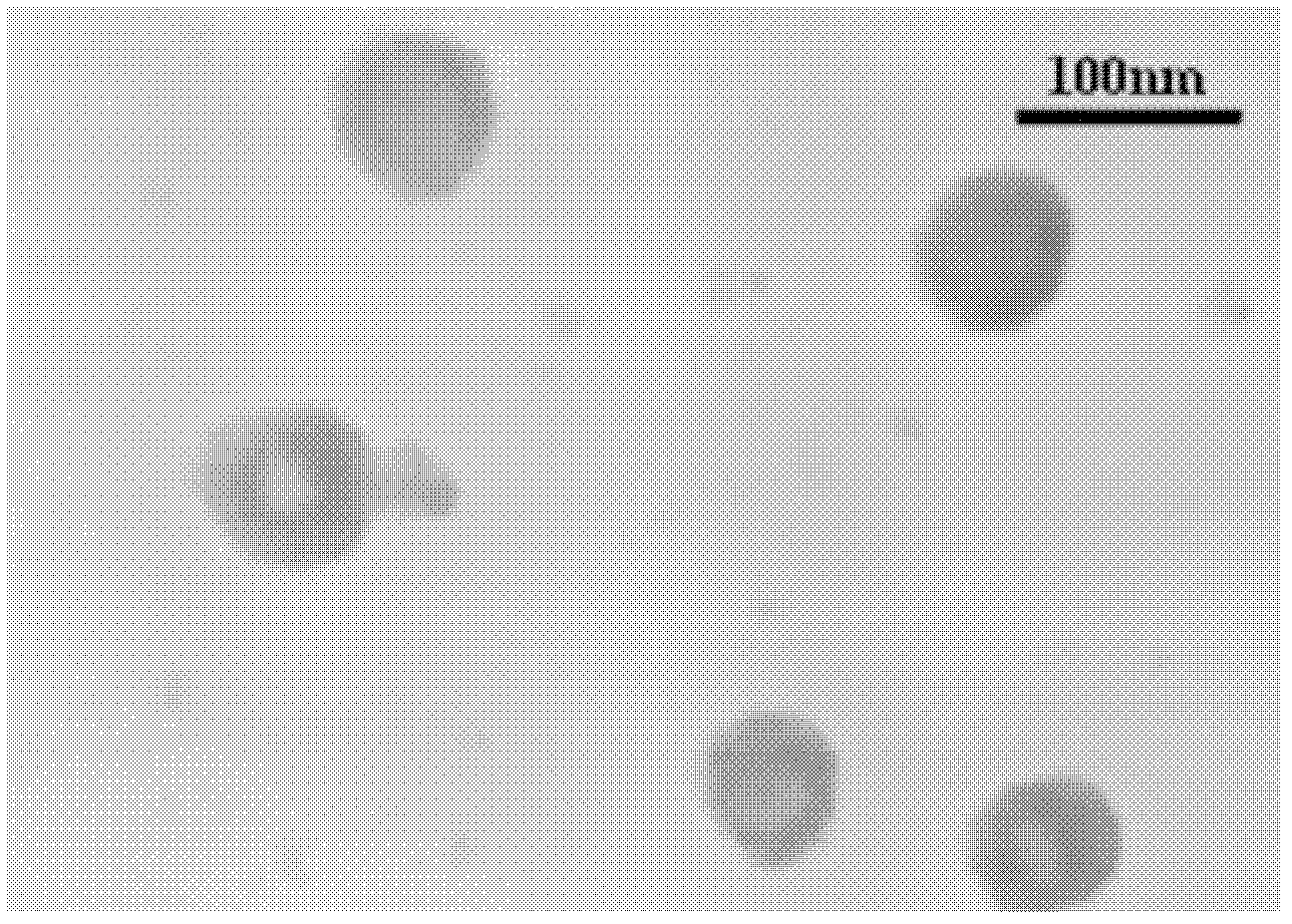 Aqueous epoxy antistatic coating with nano-core-shell structural conductive polyaniline and preparation method thereof