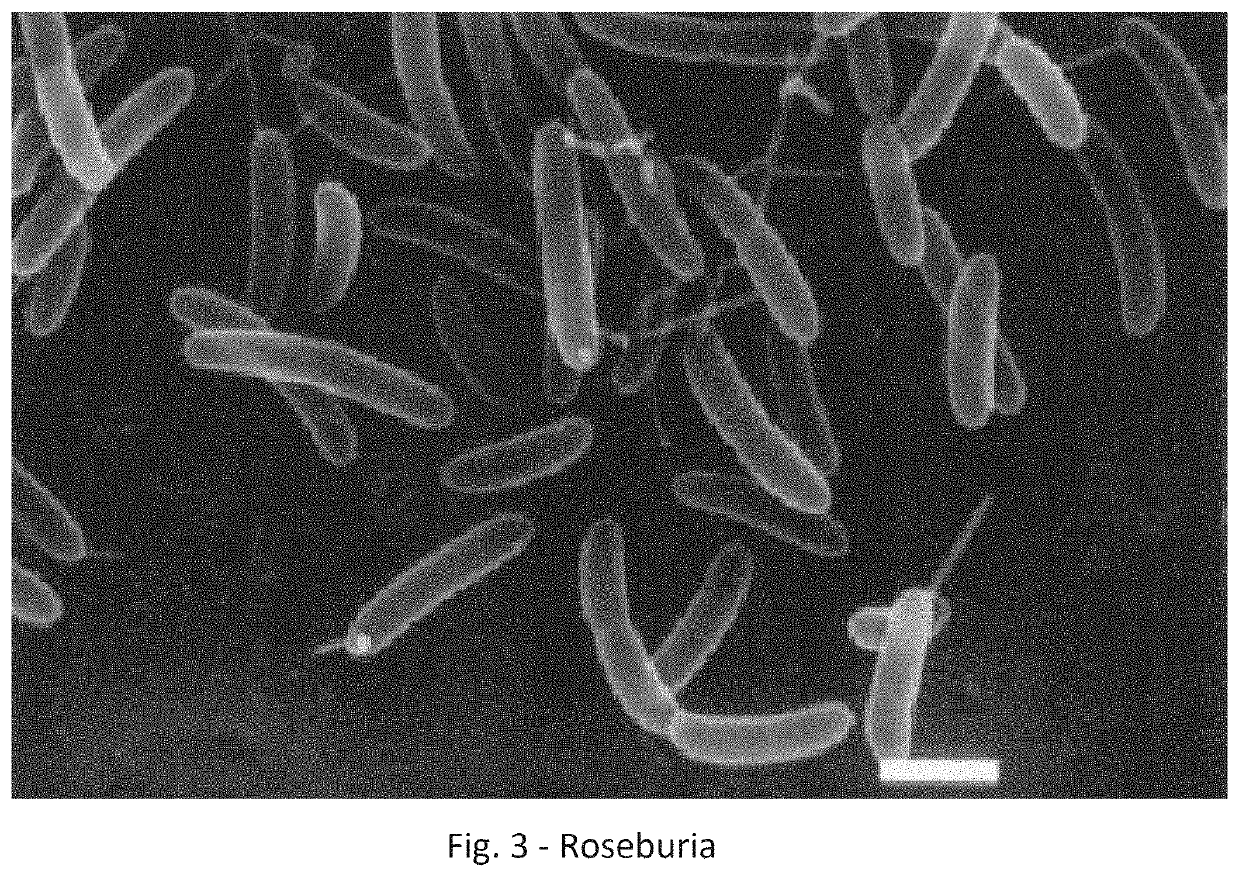 Method and System to Improve the Health of a Person's Skin Microbiome