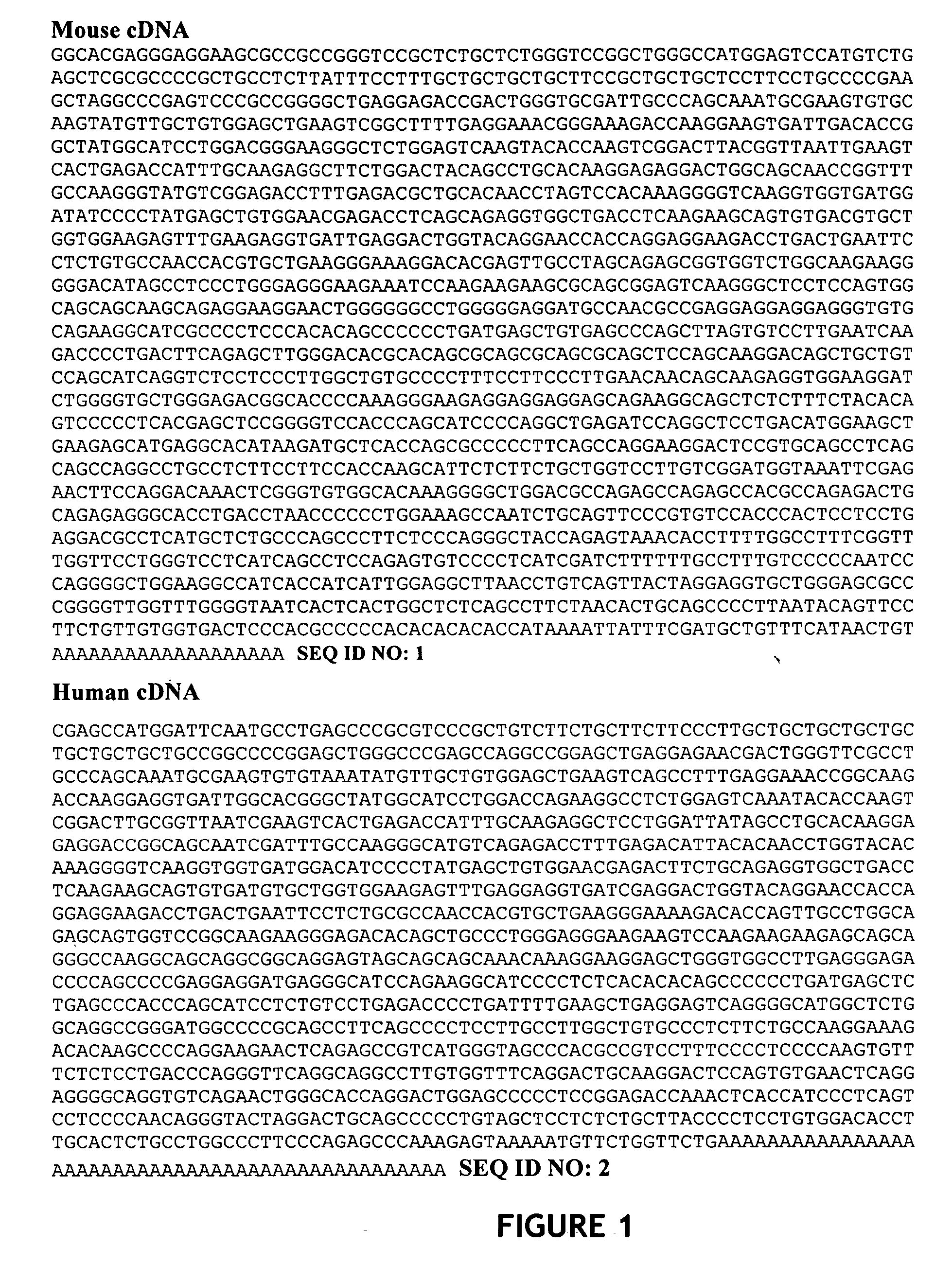 Transgenic mice containing TRP gene disruptions