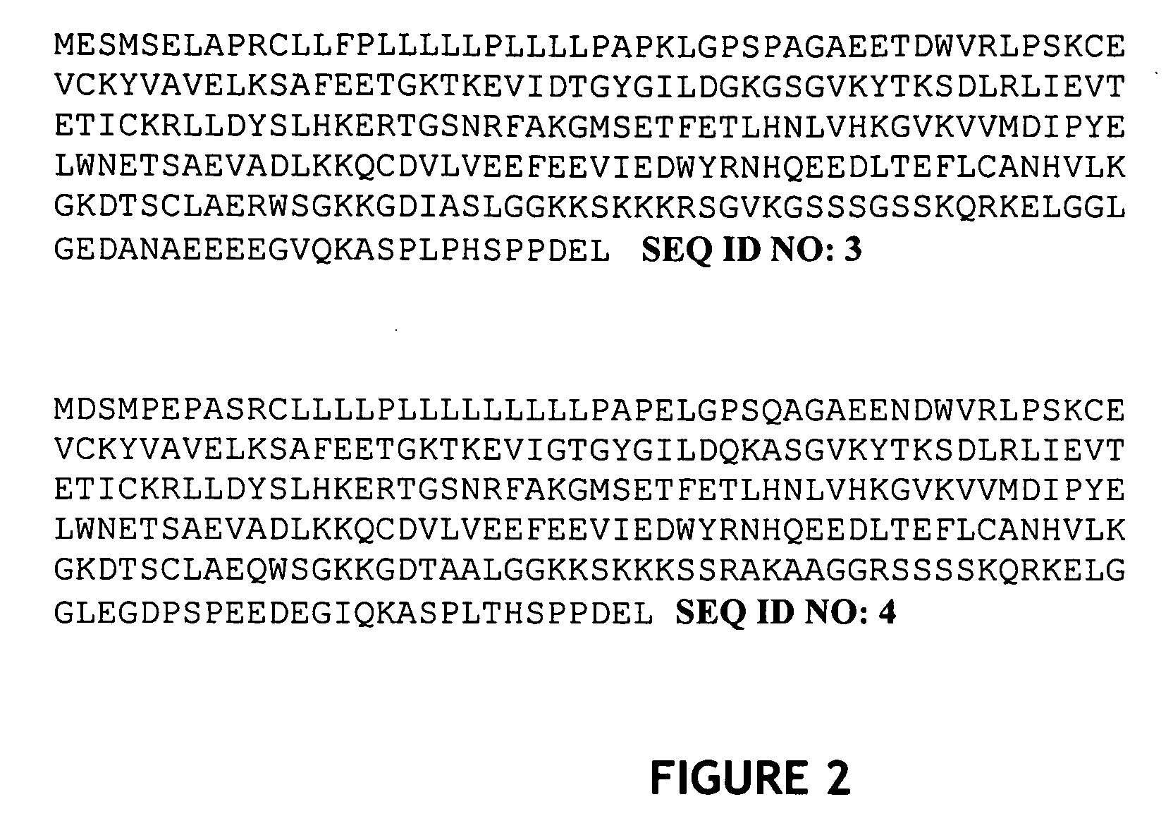 Transgenic mice containing TRP gene disruptions