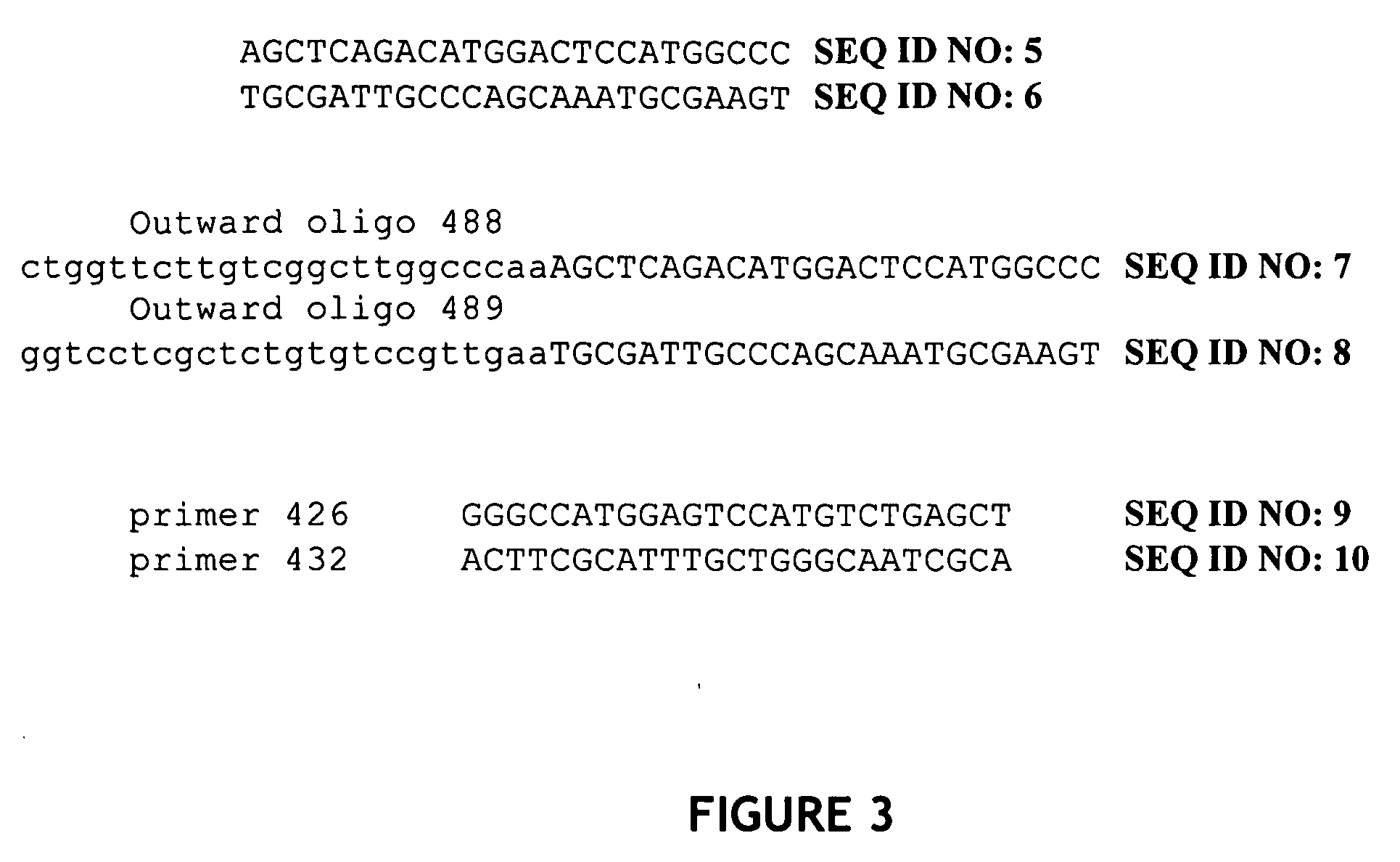 Transgenic mice containing TRP gene disruptions