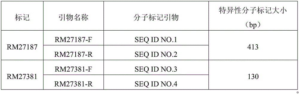 Molecular marker method of rice panicle blast resistance gene