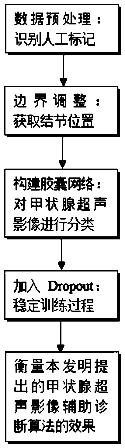 Thyroid nodule ultrasonic image classification method based on capsule network