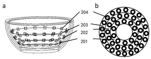 Rapid imaging system based on multicolor parallel frequency shift illumination