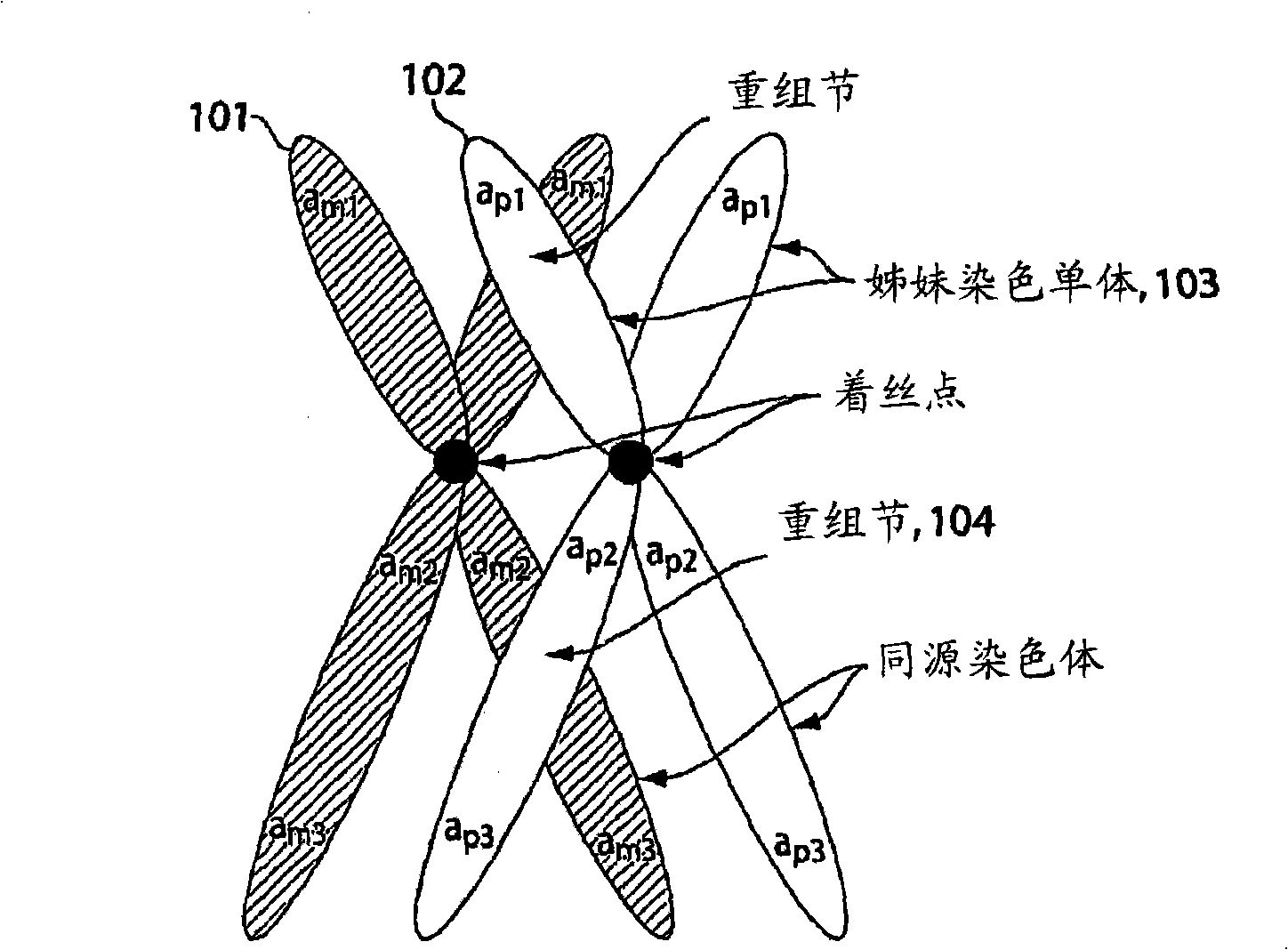 System and method for cleaning noisy genetic data and using genetic, phentoypic and clinical data to make predictions