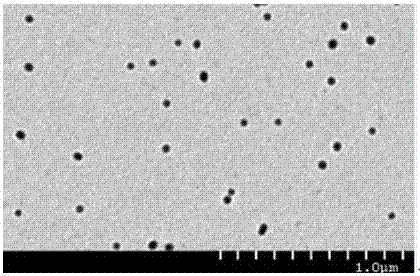 Colloidal gold immunochromatography test paper for detecting cat toxoplasma gondii infection and preparation method thereof