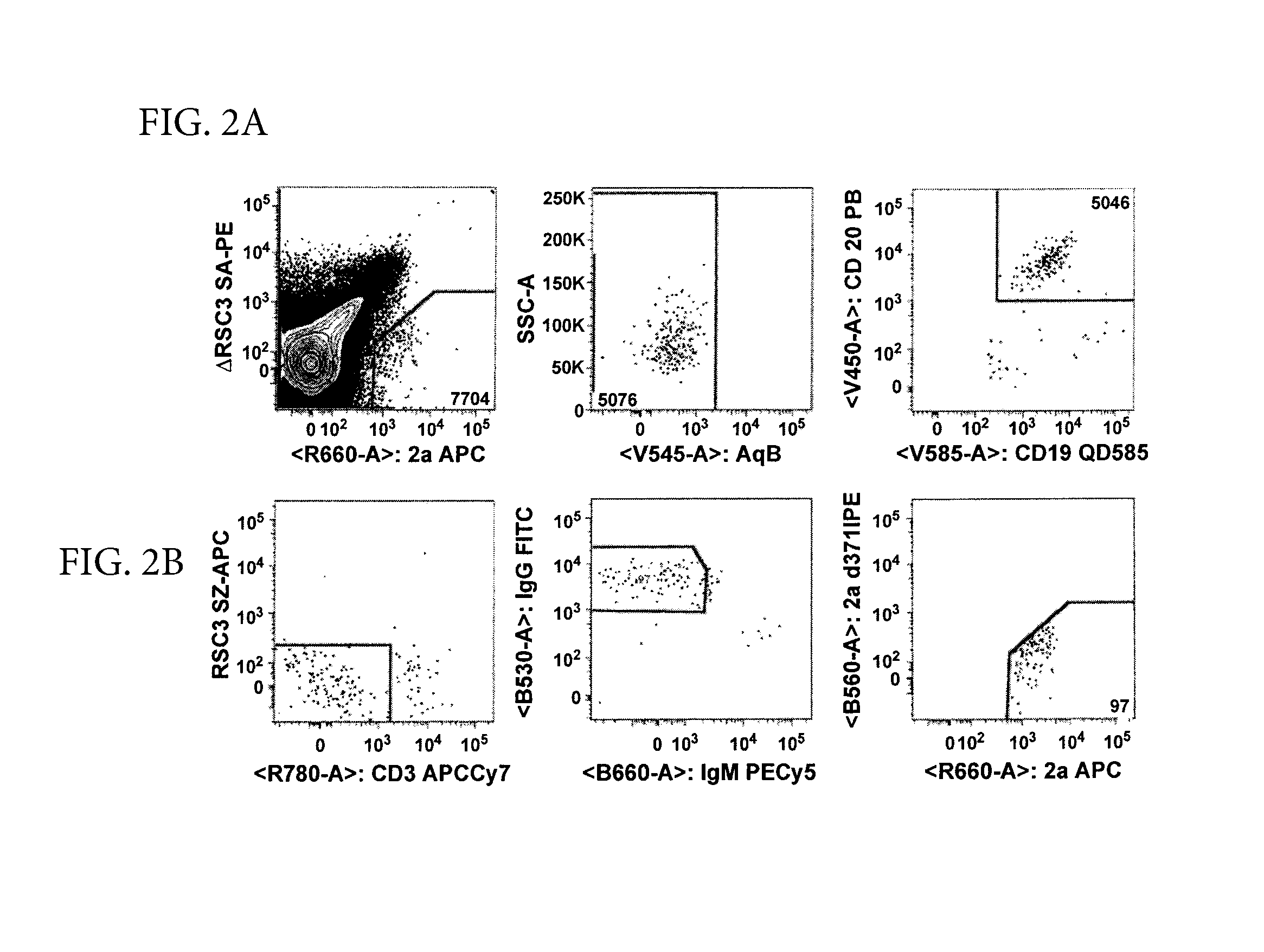 Novel HIV -1 broadly neutralizing antibodies