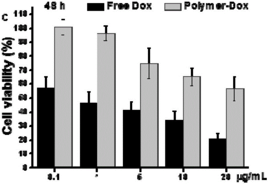 Double-pH-response amphiphilic copolymer and preparation method and application thereof