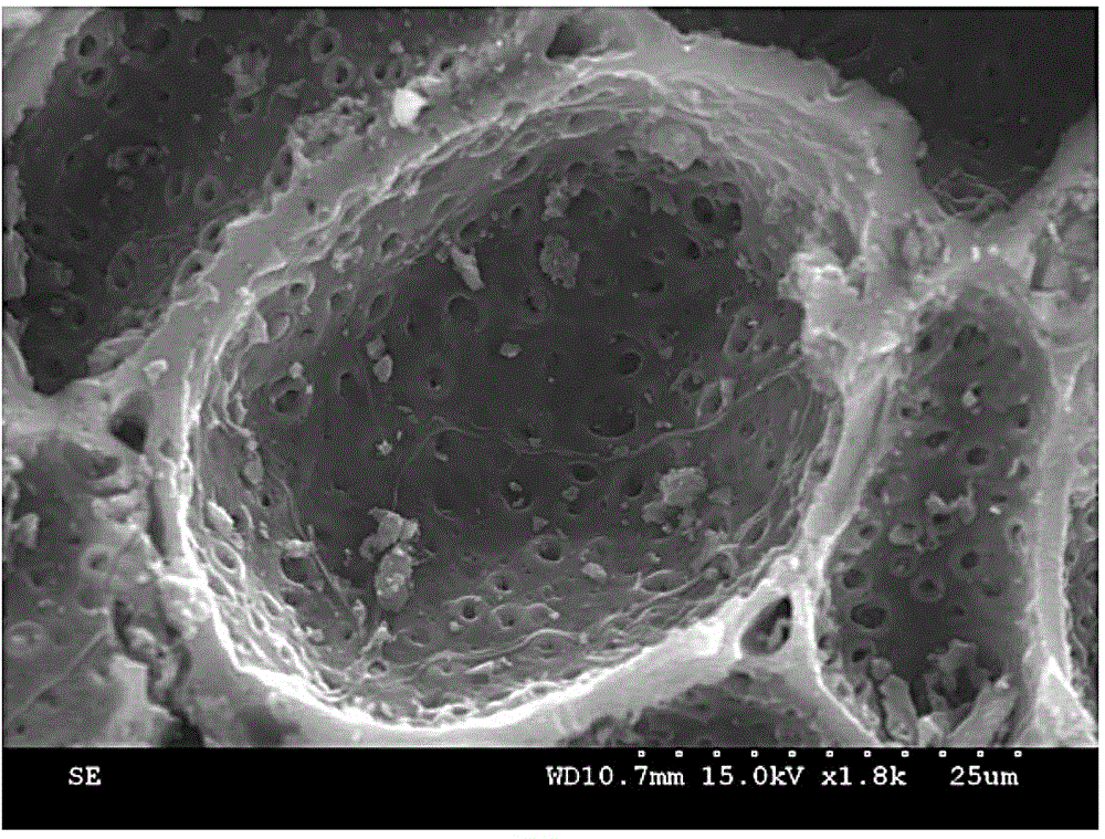 Device and method for modifying activated carbon adsorbent by using rotating low-temperature plasma