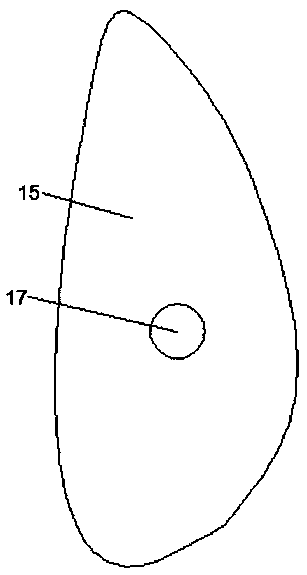 Swimming teaching assisting device