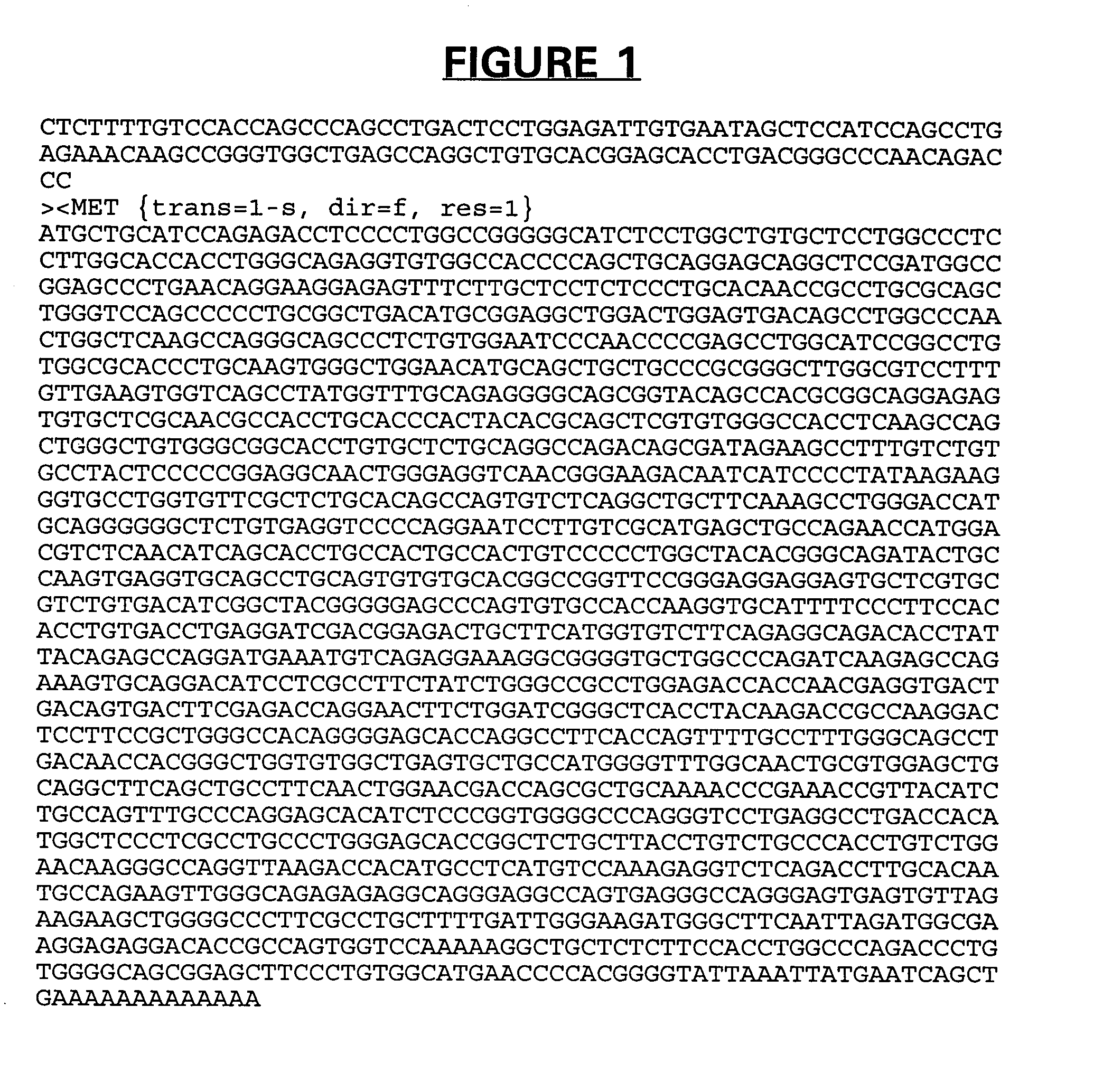 PRO347 nucleic acids