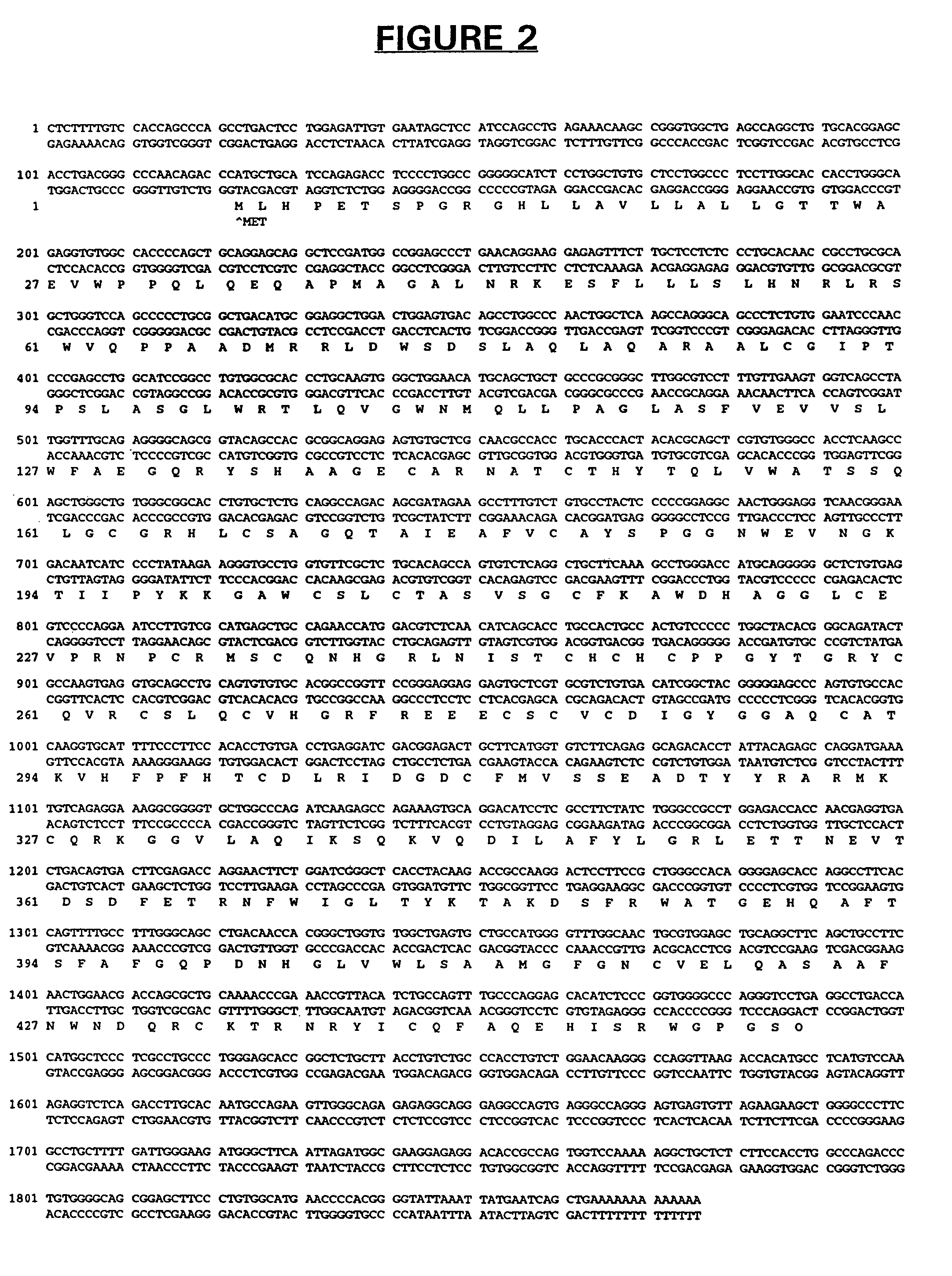 PRO347 nucleic acids