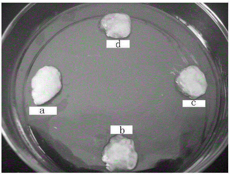 Hemostatic material