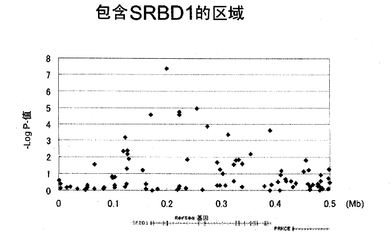 Gene sensitive to normal-tension glaucoma disease, and use thereof