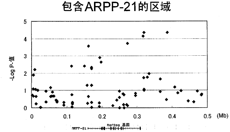 Gene sensitive to normal-tension glaucoma disease, and use thereof