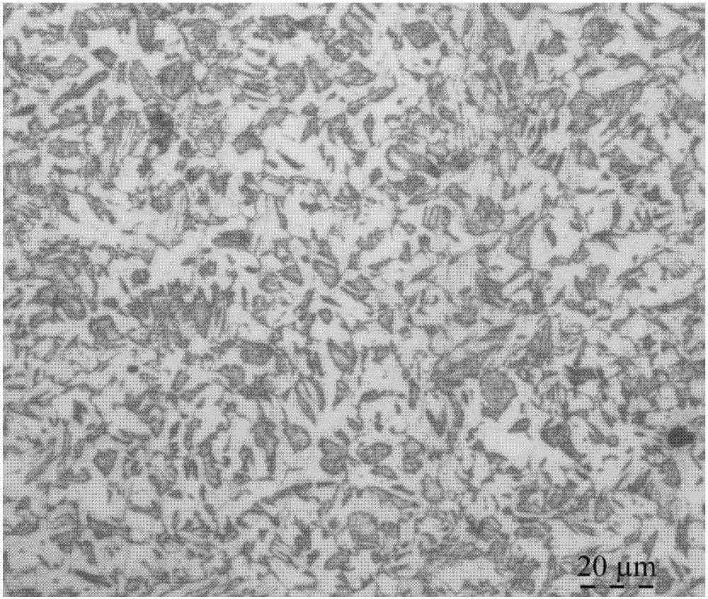 Low-temperature high-toughness hot rolled H-shaped steel with yield strength being 500MPa and preparation method thereof