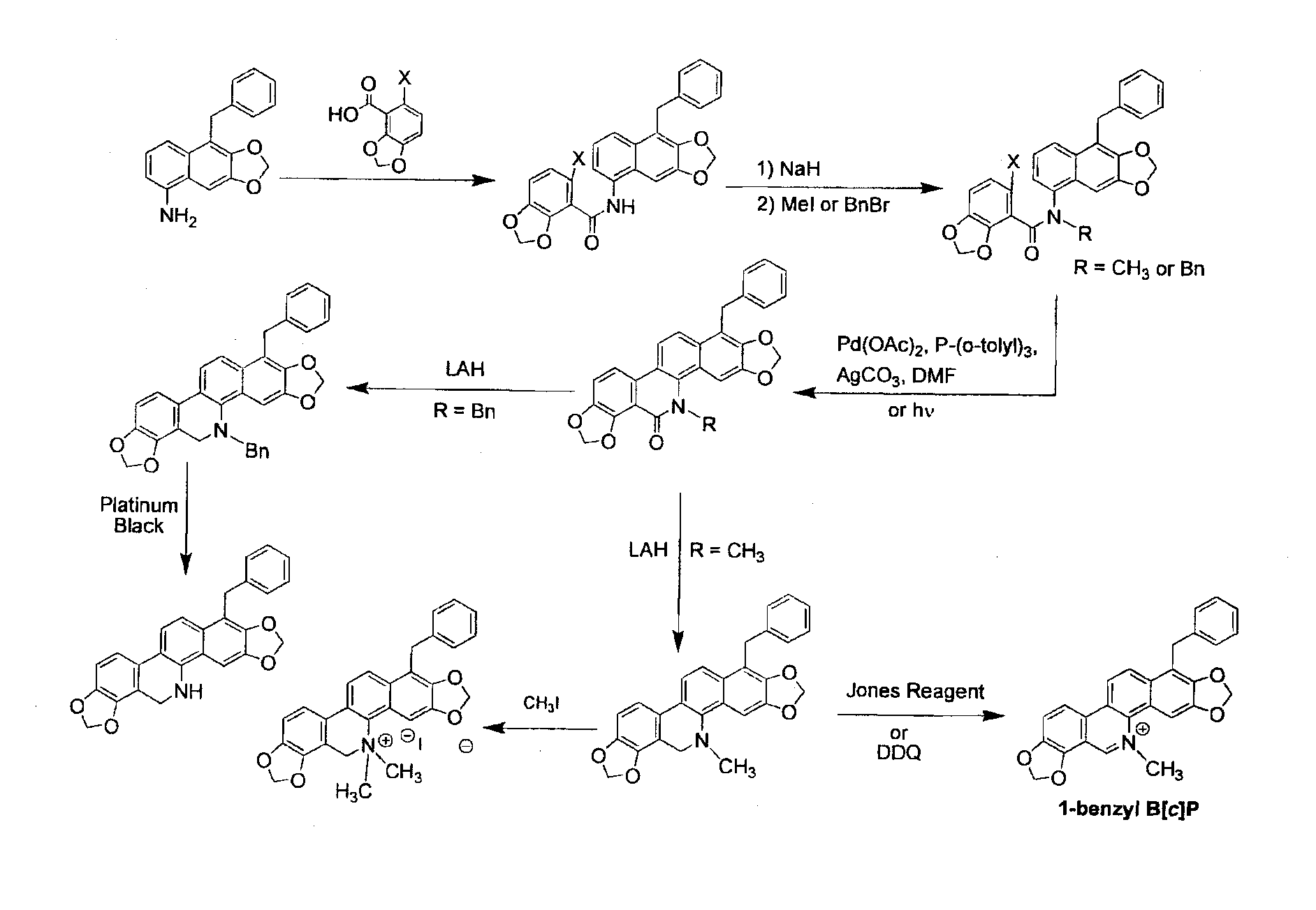 Benzo [c] phenanthridines as antimicrobial agents