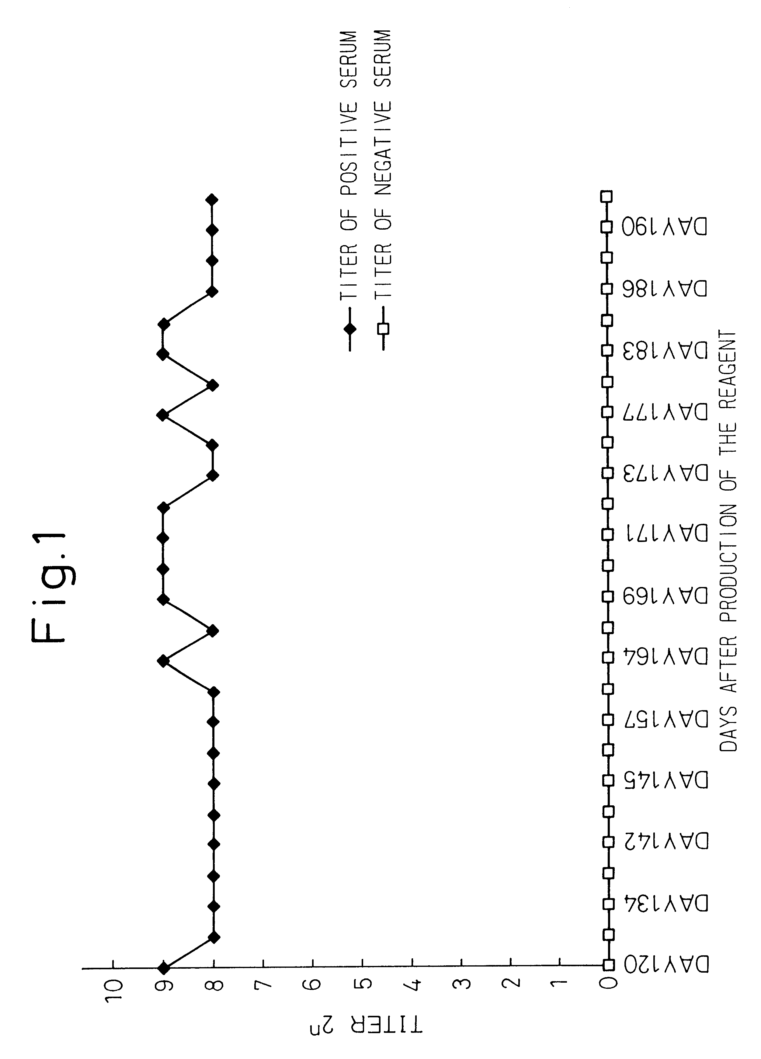 Method for detection of human parvovirus and reagent therefor