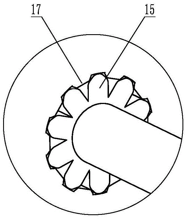 Multifunctional projection device