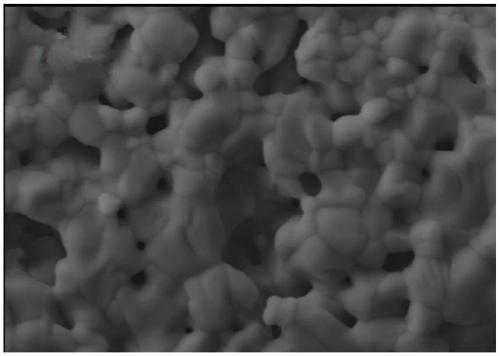 Porous tantalite ceramic and preparation method thereof