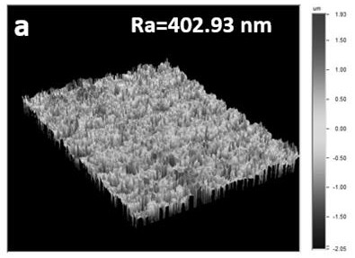 A kind of lithium ion battery electrode and preparation method thereof, lithium ion battery