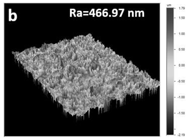 A kind of lithium ion battery electrode and preparation method thereof, lithium ion battery