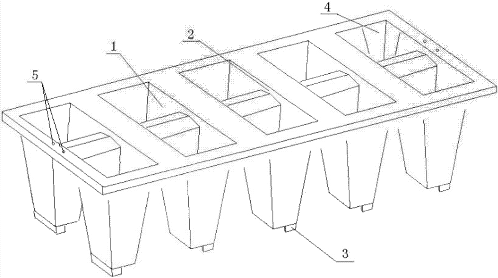 Strawberry seedling culture plug