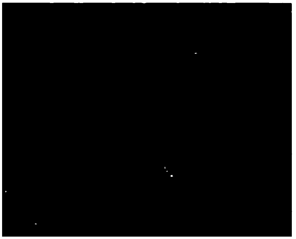 Composite fiber with intelligent surface and preparation method and application of composite fiber