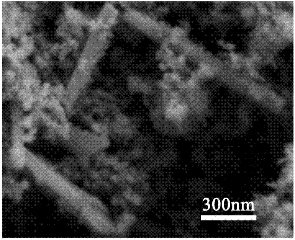 Europium doped cobalt ferrite composite and preparation method thereof