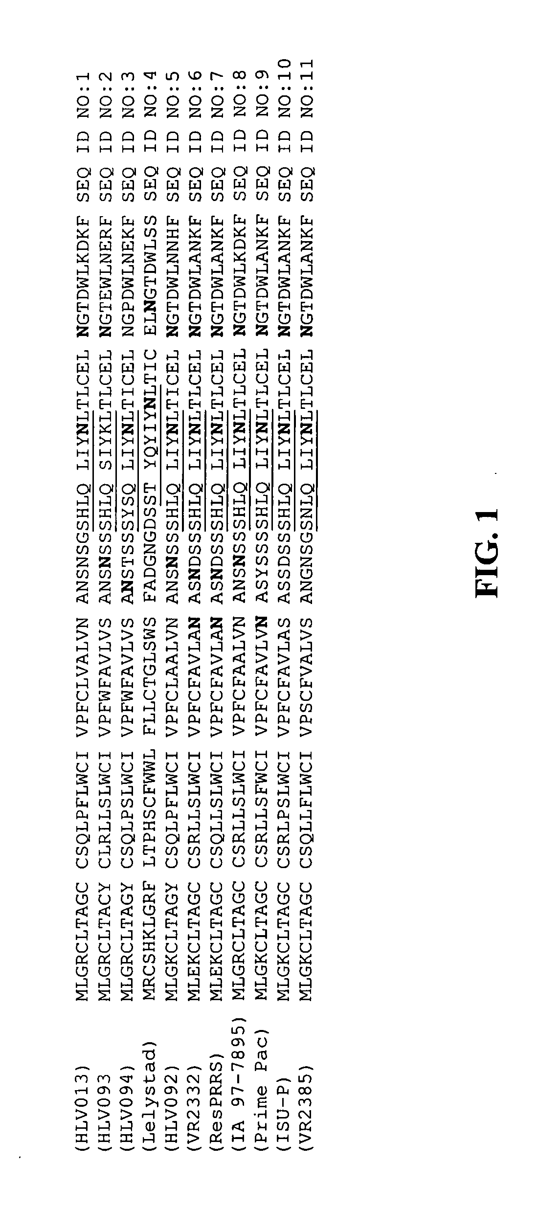 Identification of protective antigenic determinants of porcine reproductive and respiratory syndrome virus and uses thereof