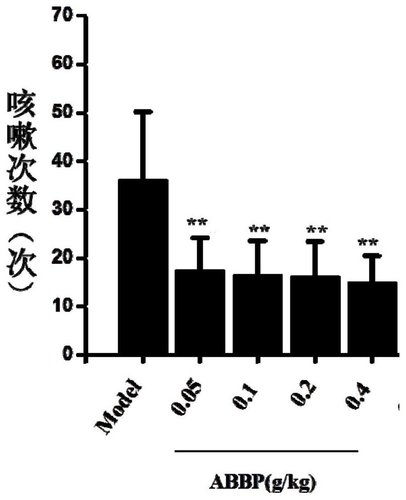 Application of biotransformation bear bile powder in preparation of antitussive medicine