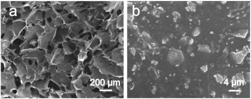 Rare earth phosphate/bioactive polymer three-dimensional porous composite material, preparation method and application thereof