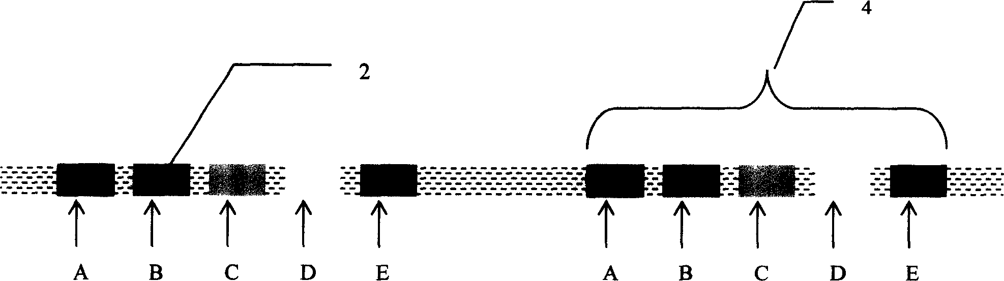 Chromatoghraph line antiforge method chromatograph line antiforge paper