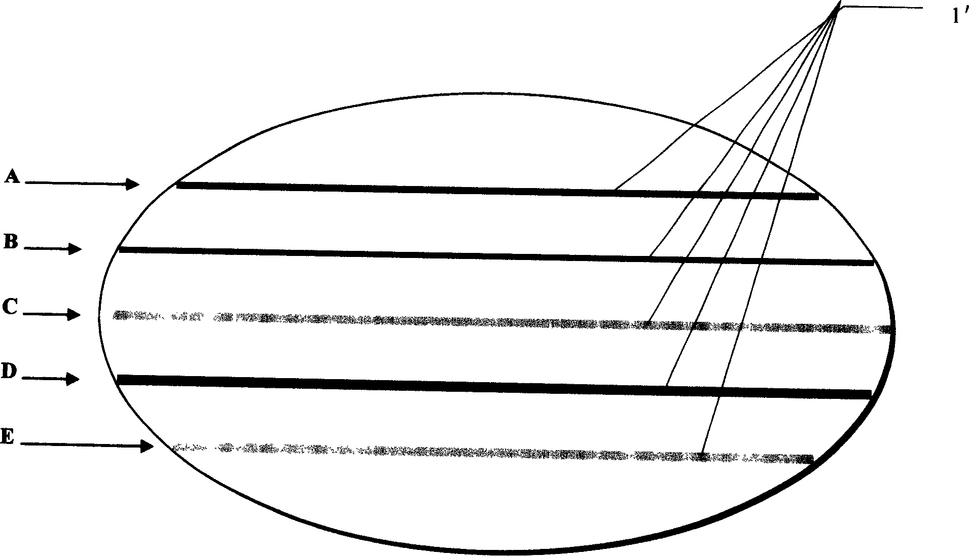 Chromatoghraph line antiforge method chromatograph line antiforge paper