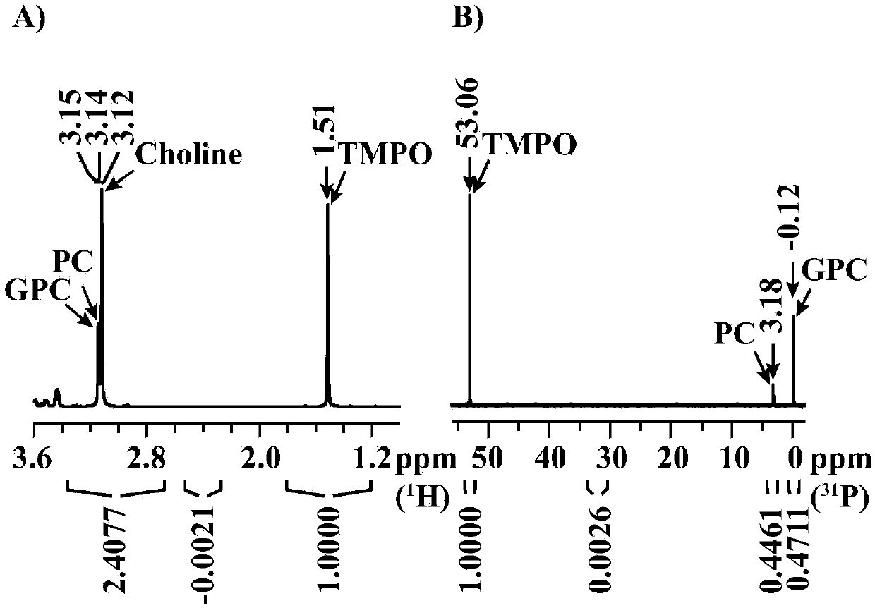 Quantitative method of one-dimensional nuclear magnetic resonance mixture jointly utilizing different nucleuses