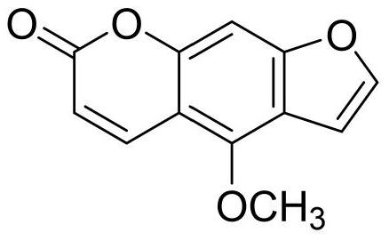 Method for separating and purifying bergamot lactone from clausena dentata