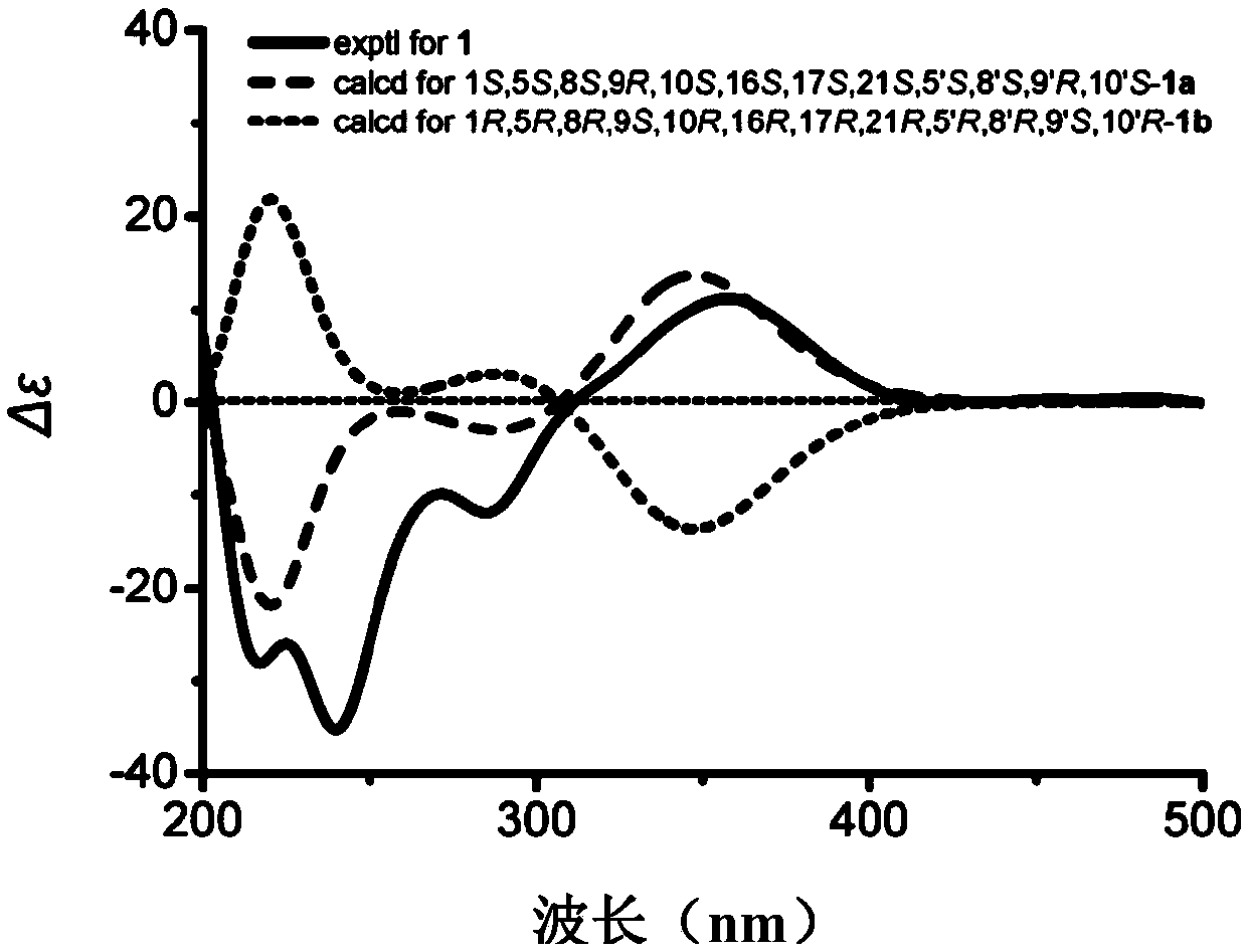 Sponge-derived meroterpenoid compound Dysiarenone as well as preparation method and application thereof