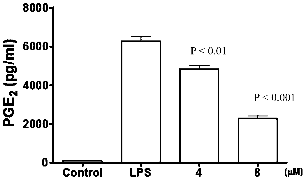 Sponge-derived meroterpenoid compound Dysiarenone as well as preparation method and application thereof