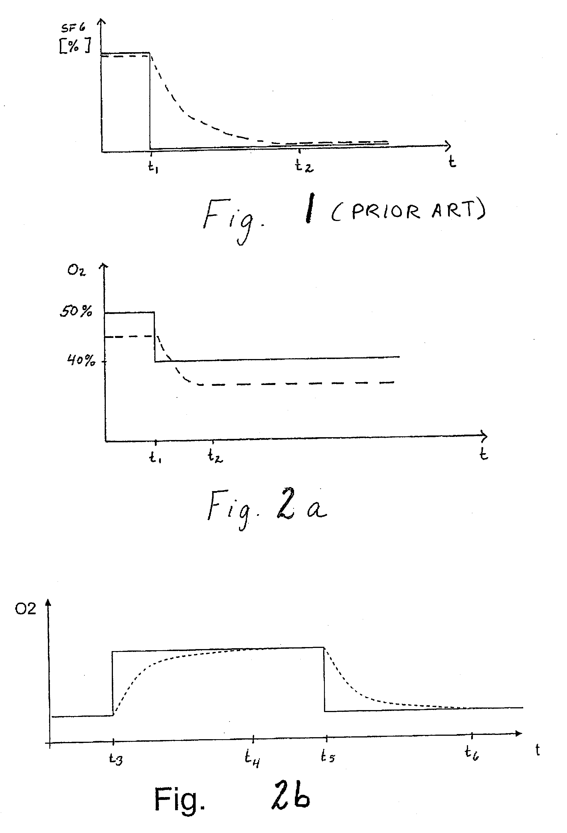 Method and Apparatus for Lung Volume Estimation