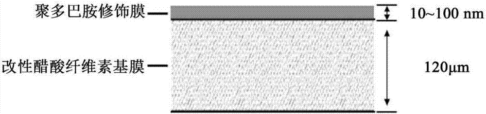 Modified cellulose acetate film as well as preparation method and application thereof