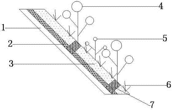 Revegetation method for mine slopes