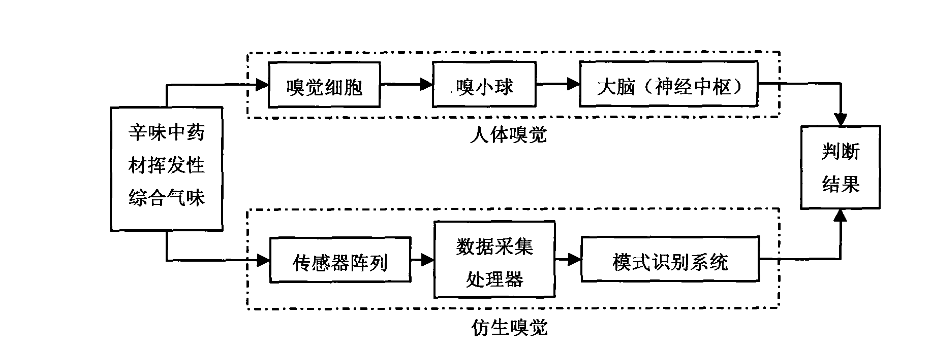 Pungent traditional Chinese medicine odor fingerprint map construction system and method based on bionic olfaction