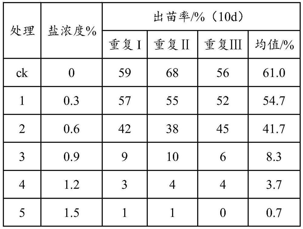 Method for faciliting planting of suaeda salsa in coastal muddy saline-alkali soil and application of method in quality improvement and yield increase of suaeda salsa