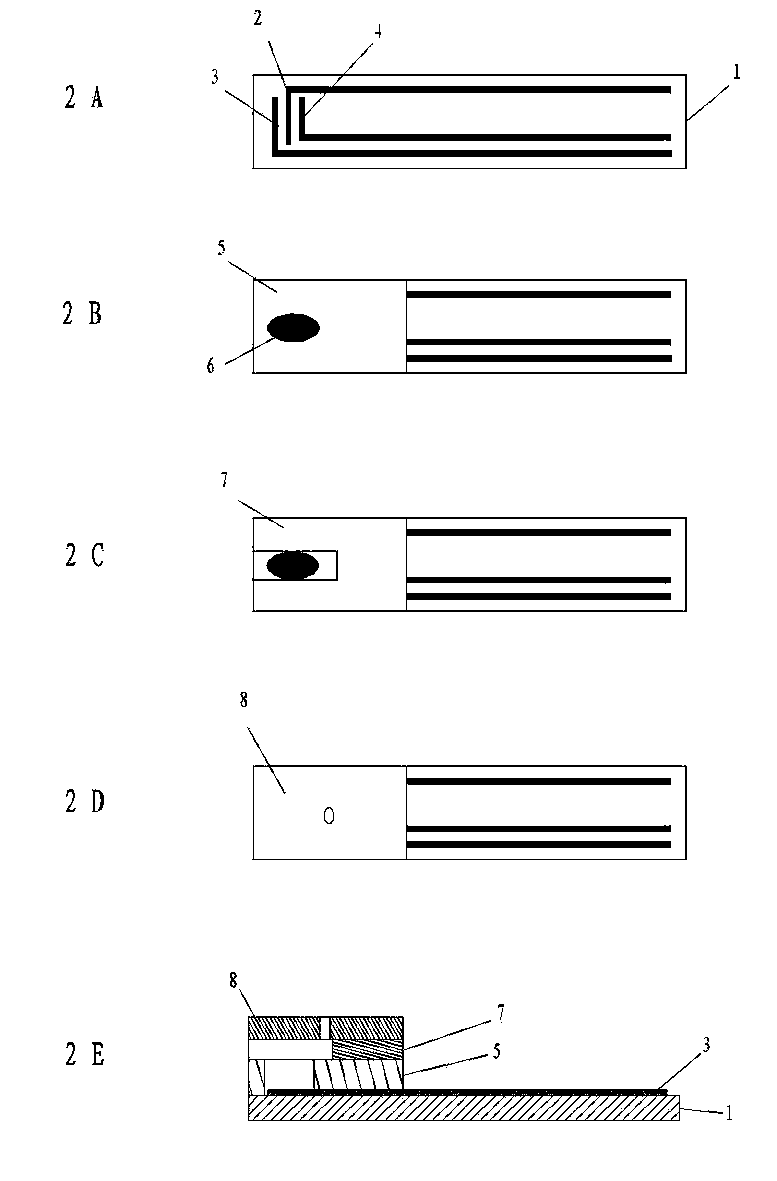 Biosensor and manufacturing method thereof